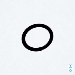 Ensō #370