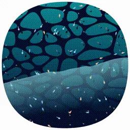 Item #107000044 Media