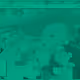 309000251