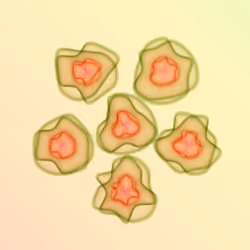 Flowers #3154