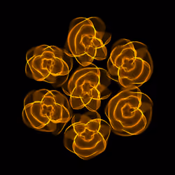 Flowers #741