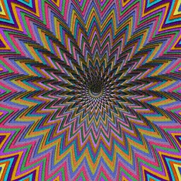 Item #225000901 Media