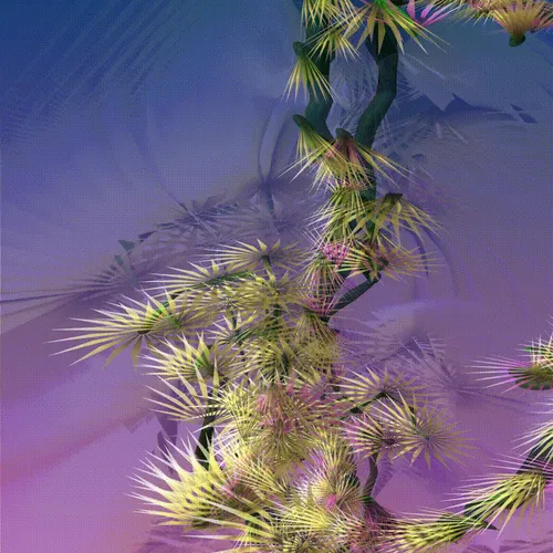 Item #279000041 Media