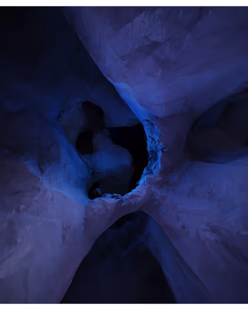 Item #217000444 Media