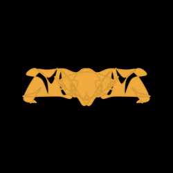 Cryptoblots #107