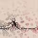 328000289
