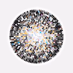 Transitions #1101