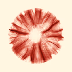 Gravity 12 #260