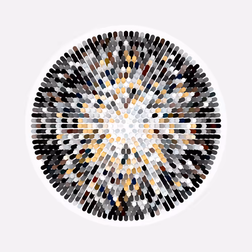 Transitions #3354