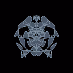 Cryptoblots #1331