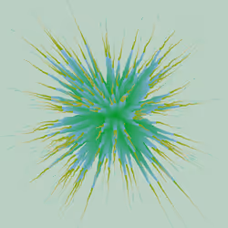 Star Flower #162