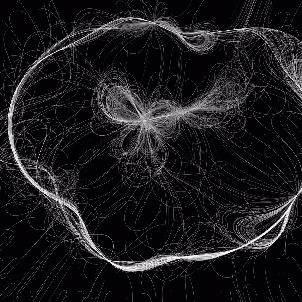 Phototaxis #977