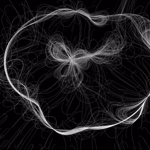Phototaxis #977