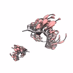 Seadragons #663