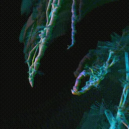 Item #279000068 Media