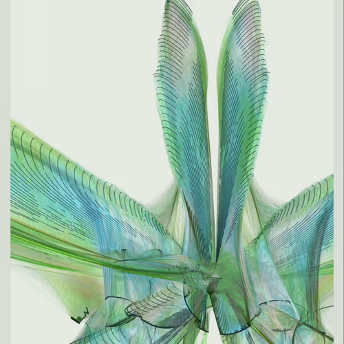 flora, fauna, false gods & floods #17