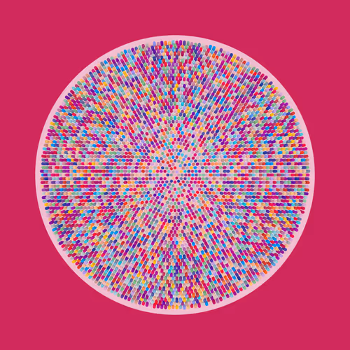 Transitions By Jason Ting X Matt Bilfield