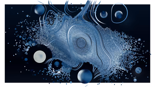 Item #350000336 Media