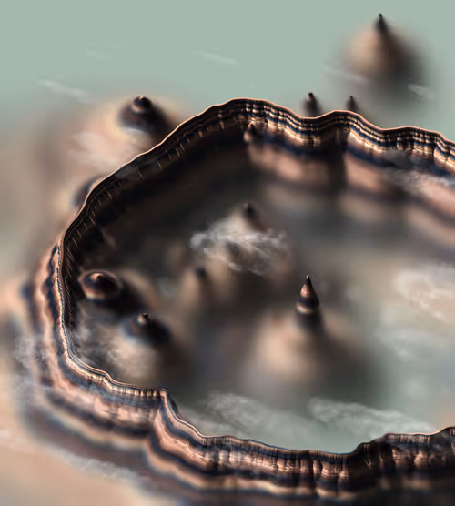 Item #291000262 Media