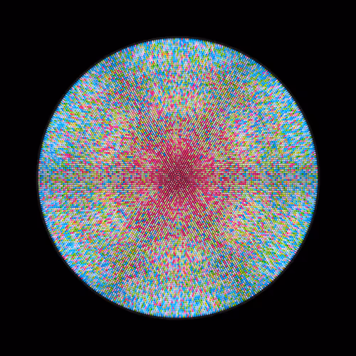 Transitions By Jason Ting X Matt Bilfield