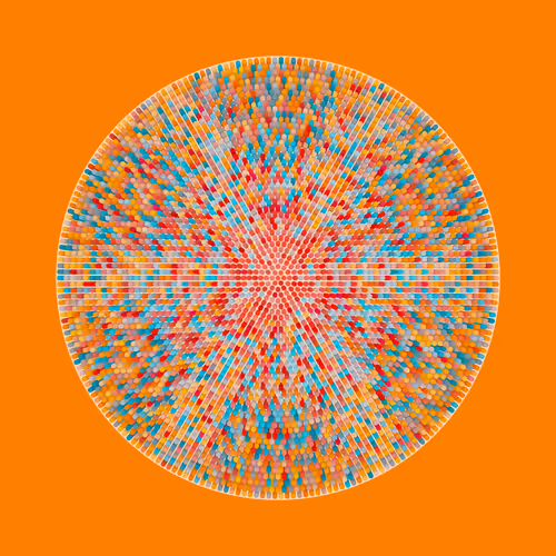 Transitions By Jason Ting X Matt Bilfield