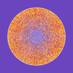 Transitions #4647