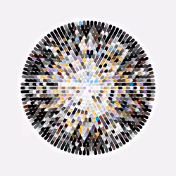 Transitions #1083
