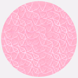 Ouroboros #872