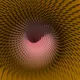 225000629