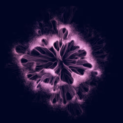 Item #165000380 Media