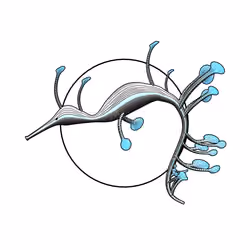 Seadragons #396