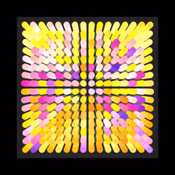 Transitions #3251
