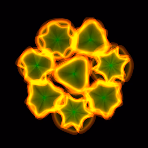 Flowers #5546