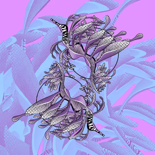 Seadragons #811