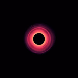 Singularity #1023