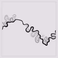 Ancient Courses of Fictional Rivers #448