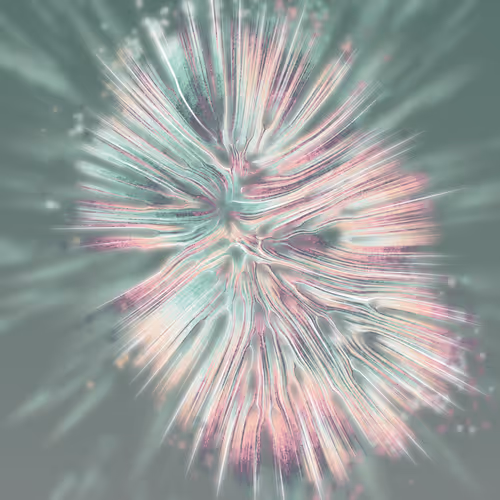 Item #68000188 Media