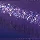 232000154