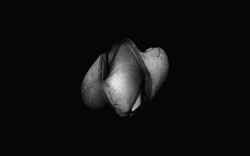 Item #258000234 Media