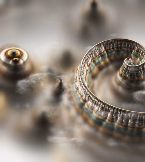 Item #291000202 Media