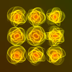 Flowers #5632