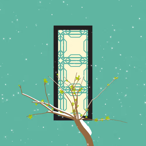 Through The Window By Reva