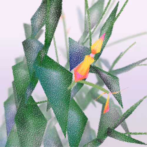 Cattleya By Ben Snell