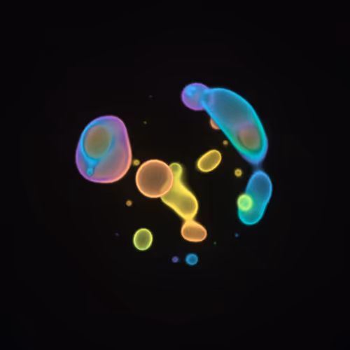 Bubble Blobby By Jason Ting