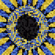 264000356