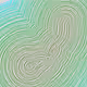 335000017