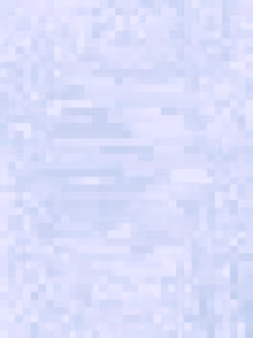 Item #332000171 Media