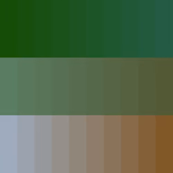 Color Study #608
