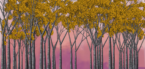 Item #254000097 Media