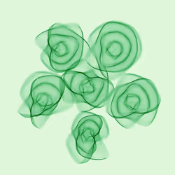Flowers #2415
